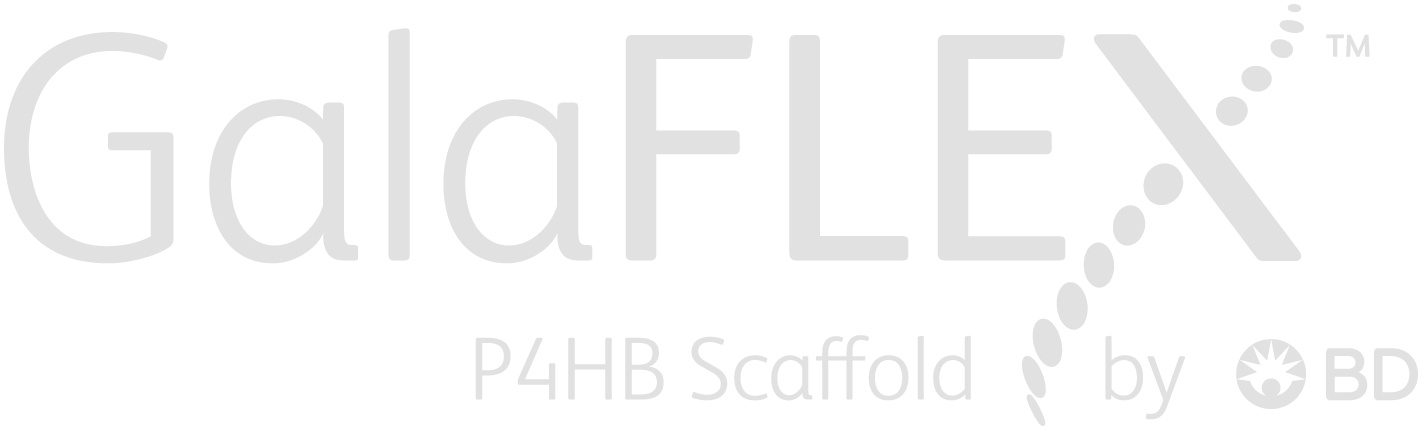 galaflex logo header v2