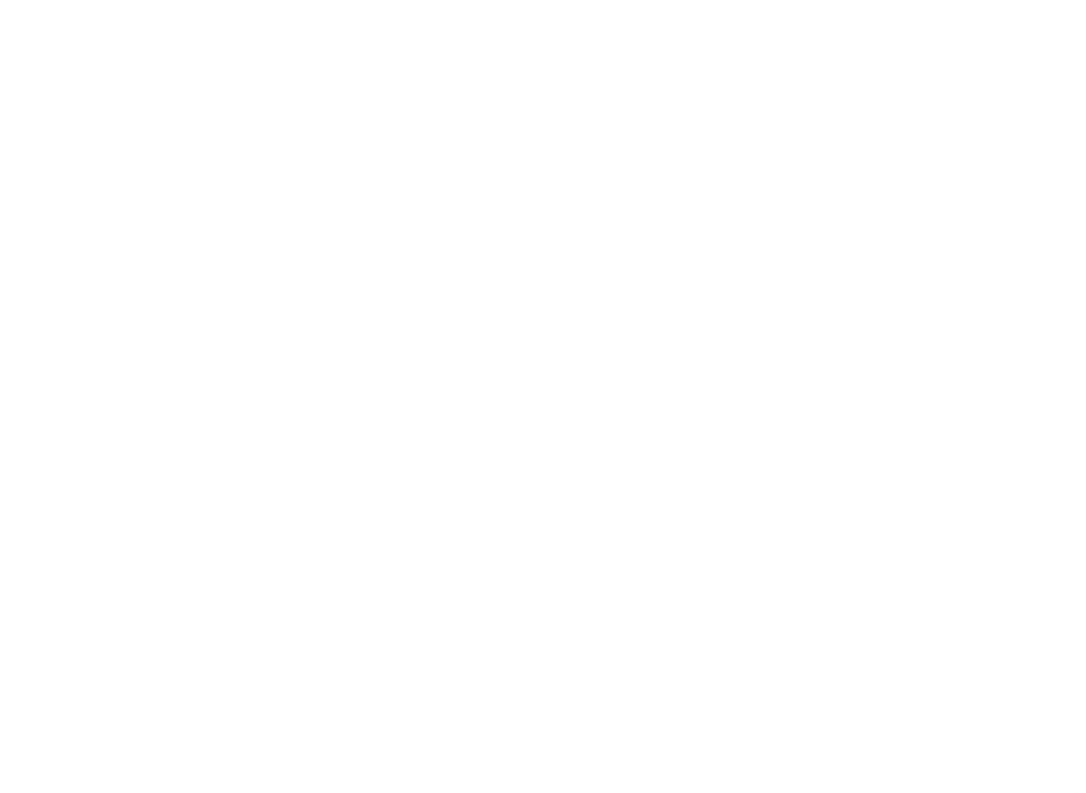 BAM 2027 logo white transparent